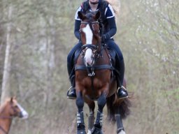 2016 Terrænspring træning